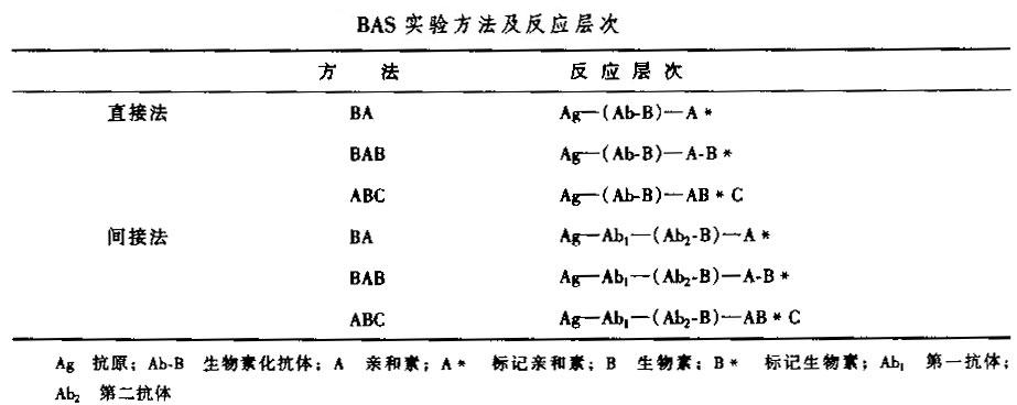 bas