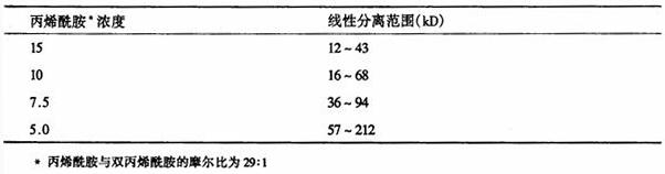免疫印迹