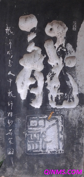 龍